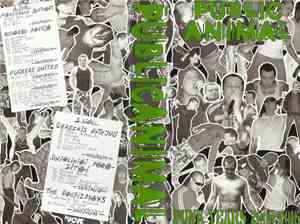 Public Animal - Punk Years 2005-2015