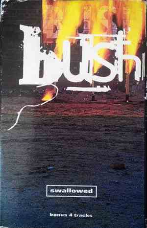 Bush - Swallowed
