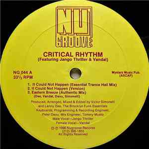 Critical Rhythm Featuring Jango Thriller & Vandal - It Could Not Happen