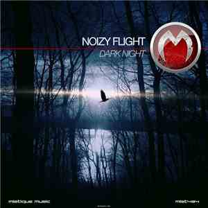 Noizy Flight - Dark Night