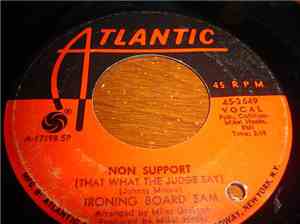 Ironing Board Sam - Non Support (That What The Judge Say)