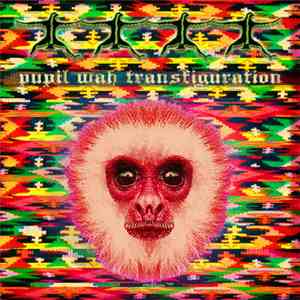 Pupil Wah - Transfiguration