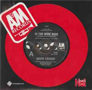 David Crosby - In The Wide Ruin