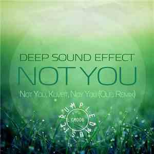 Deep Sound Effect - Not You