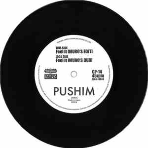 Pushim - Feel It