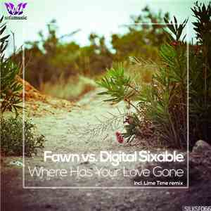 Fawn  vs. Digital Sixable - Where Has Your Love Gone