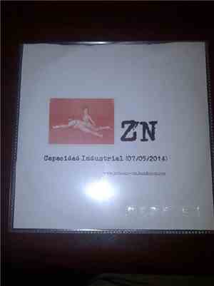 Zn - Capacidad Industrial