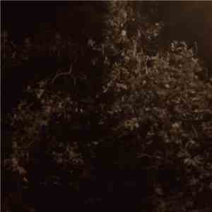 Geotic - Wind II