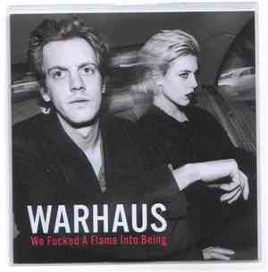 Warhaus - We Fucked A Flame Into Being