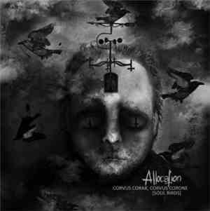 Allocation - Corvus Corax, Corvus Corone (Soul Birds)