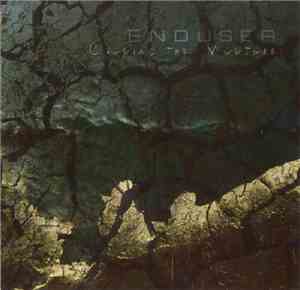 Enduser - Calling The Vultures