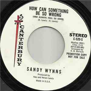Sandy Wynns - How Can Something Be So Wrong (And Always Feel So Good)