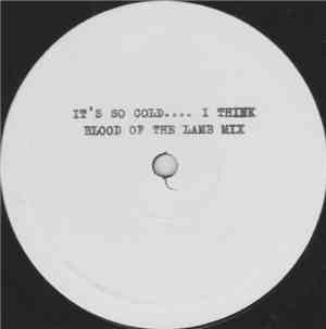 The Fatima Mansions - It's So Cold.... I Think / Nite Flights