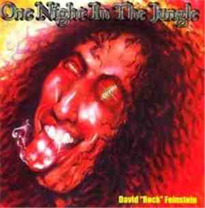 David 'Rock' Feinstein - One Night In The Jungle