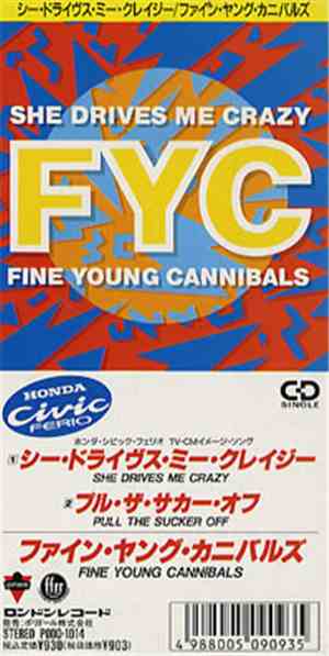 Fine Young Cannibals - She Drives Me Crazy