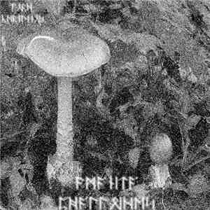 Lord Cernunnos - Amanita Phalloides