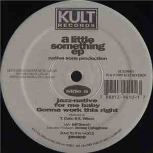Native Sons Production - A Little Something EP