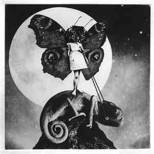 The Exaltics - The Girl And The Chameleon