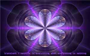 Transient - Nothing Is Everything When Everything Is Nothing