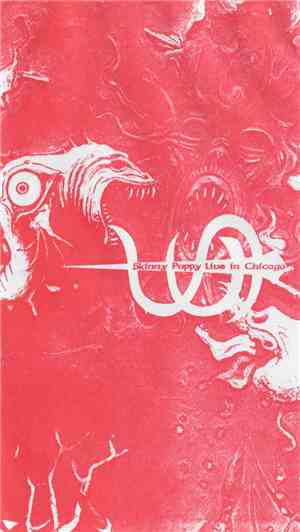 Skinny Puppy - Live In Chicago October 20, 1988