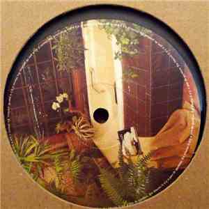 Various - Freedom Is Rising