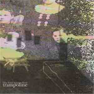 54 Square Foot Trampoline - That Simple