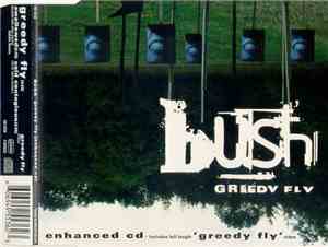 Bush - Greedy Fly