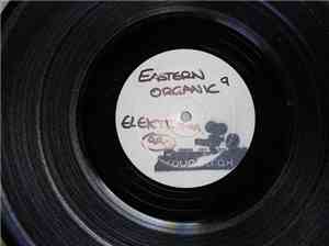 Future Prophecies - Elektra / Eastern Organic