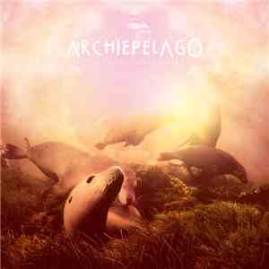 Archie Pelago - Chocolate Waveplates