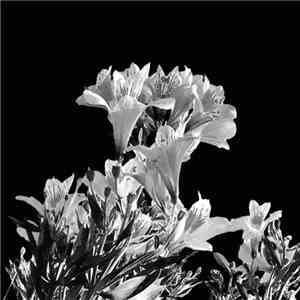 Hiroto Kudo - Solitude