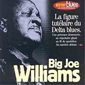 Big Joe Williams - Big Joe Williams