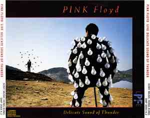 Pink Floyd - Delicate Sound of Thunder