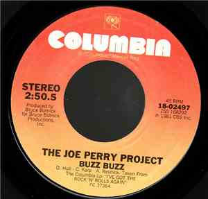 The Joe Perry Project - Buzz Buzz