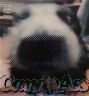Various - Candy Ass