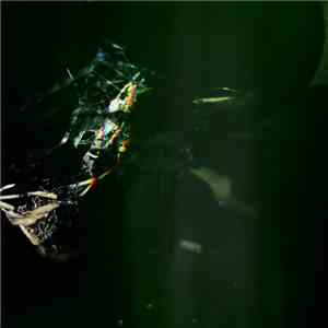 Dali Vision - Dark Green