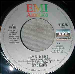 David Lasley - Saved By Love