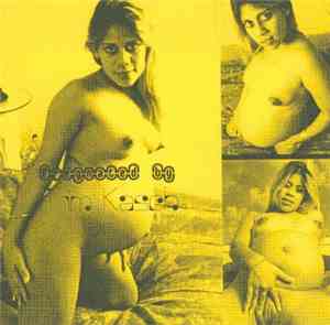 Hinyouki - Pregnated By Tim Kasch