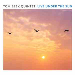 Tom Beek - Live Under The Sun