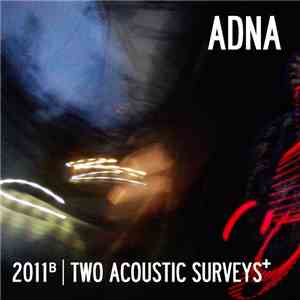 Adna - Two Acoustic Surveys+