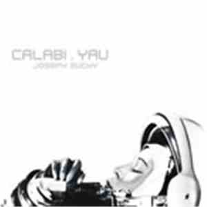 Joseph Suchy - Calabi.Yau