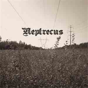 Neptrecus - Neptrecus