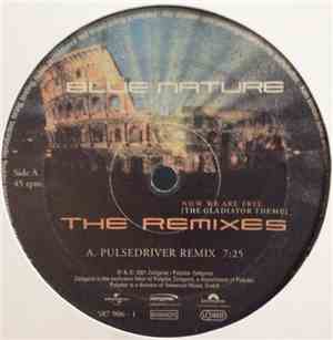 Blue Nature - Now We Are Free (The Gladiator Theme) - The Remixes