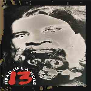 Head Like A Hole - 13