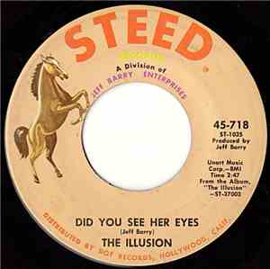 The Illusion - Did You See Her Eyes
