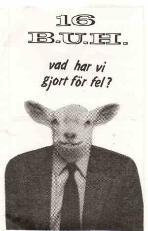 16 B.U.H. - Vad Har Vi Gjort För Fel?