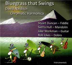 David Naiditch - Bluegrass That Swings
