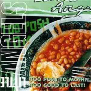Little Angels - Too Posh To Mosh, Too Good To Last!
