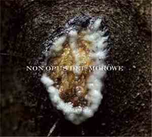 Non Opus Dei / Morowe - Dziwki Dwie