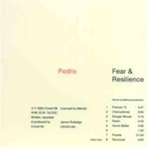 Pedro - Fear & Resilience