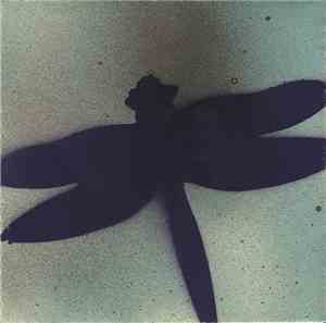 Celer - Canopy